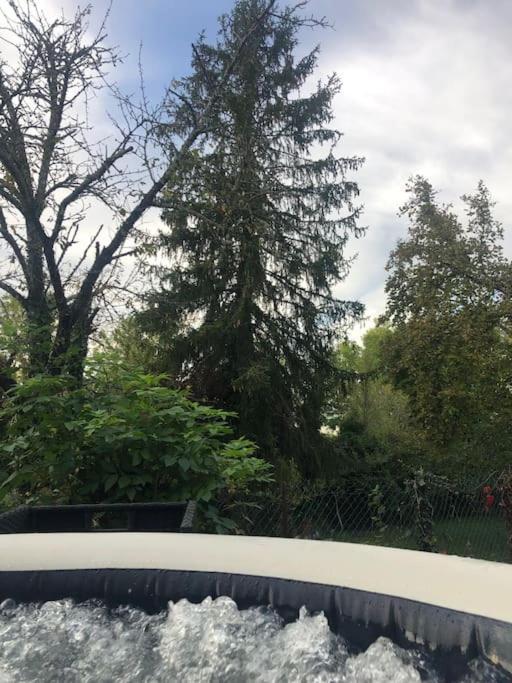 Charmant Gite En Perigord Vert Douchapt Bagian luar foto